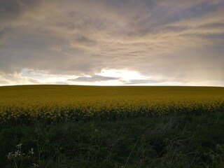 Vakantiehuis Mesinge  13