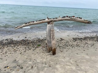 Casa per le vacanze Skagen  33