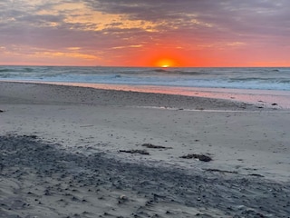 Holiday house Skagen  16