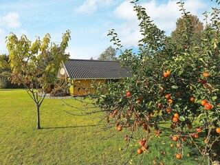 Vakantiehuis Faxe Ladeplads  17