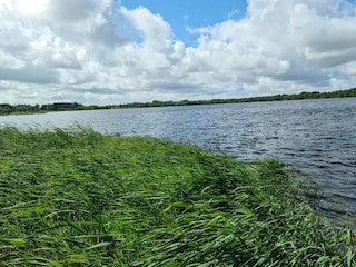 Maison de vacances Ansager  4