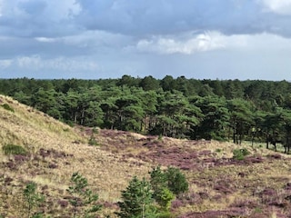 Holiday house Blåvand  4