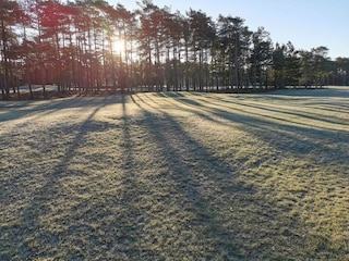 Vakantiehuis Blåvand  26