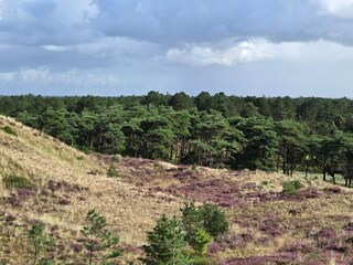 Vakantiehuis Blåvand  14