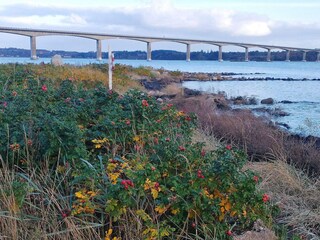 Casa per le vacanze Ørding  10