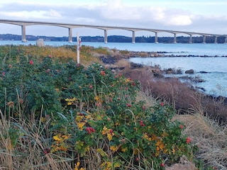 Ferienhaus Ørding  4