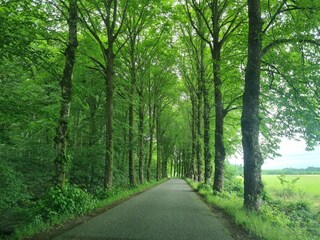 Casa per le vacanze Ørding  39