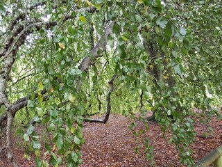 Holiday house Ørding  23