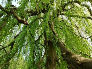 Casa de vacaciones Ørding  26