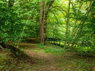 Casa per le vacanze Ørding  19