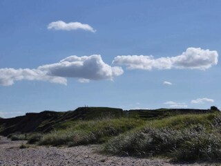 Vakantiehuis Humlum  11