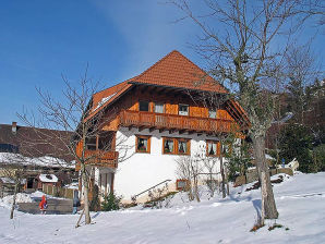 Bauernhof Ferienhof Bühler - Schramberg - image1