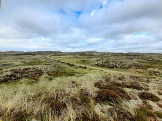 Holiday house Vorupør  16