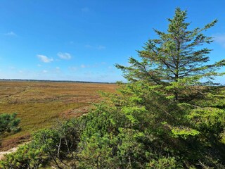 Vakantiehuis Vorupør  20