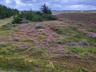 Vakantiehuis Vorupør  21