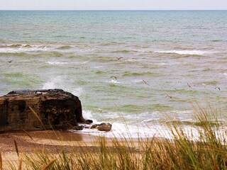 Ferienhaus Fjand  12