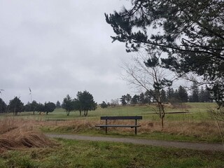 Ferienhaus Fjerritslev  31