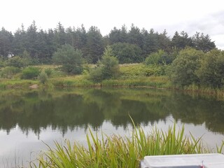 Ferienhaus Toftlund  30