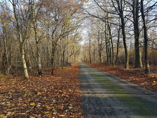 Maison de vacances Toftlund  42
