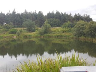 Ferienhaus Toftlund  36