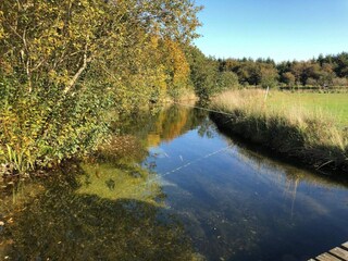 Ferienhaus Toftlund  48
