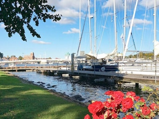 Ferienhaus Olpenitz  14