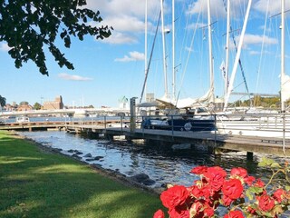 Ferienhaus Olpenitz  13