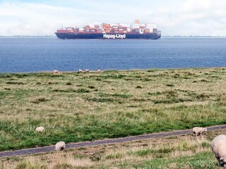 Ferienhaus Otterndorf  7