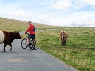 Casa per le vacanze Otterndorf  16