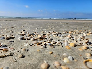 Ferienhaus Toftum  21