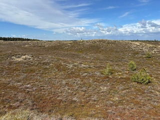 Ferienhaus Toftum  32