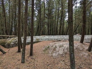 Casa per le vacanze Toftum  18