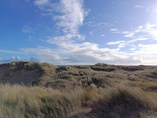 Ferienhaus Toftum  9