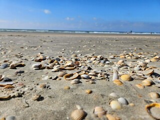 Holiday house Toftum  28