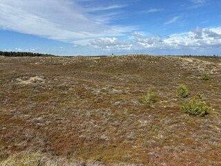 Holiday house Toftum  36