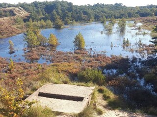 Ferienhaus Toftum  8