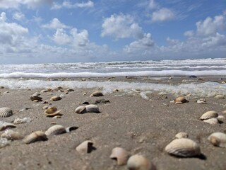 Holiday house Toftum  6