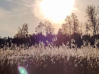 Maison de vacances Gränna  25