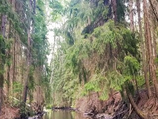 Casa per le vacanze Gränna  25