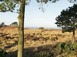 Vakantiehuis Bønnerup Strand  10