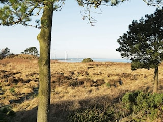 Holiday house Bønnerup Strand  35