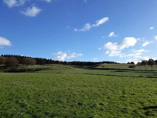 Maison de vacances Bønnerup Strand  35