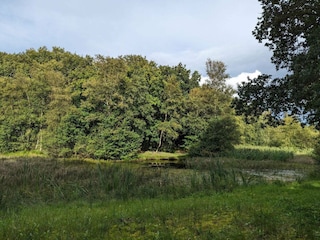 Holiday house Arrild  9