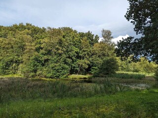 Vakantiehuis Arrild  19