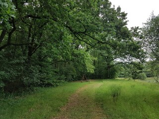 Vakantiehuis Arrild  16