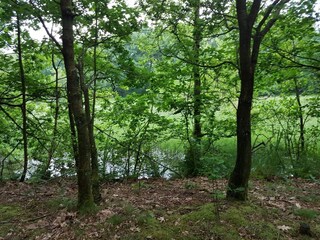 Holiday house Arrild  15