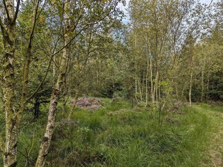 Casa per le vacanze Arrild  37