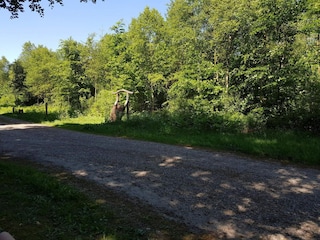 Ferienhaus Arrild  12