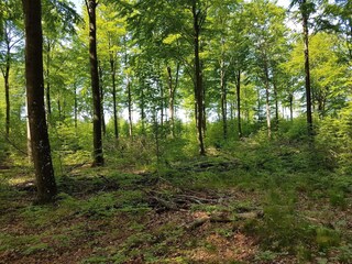 Maison de vacances Arrild  34