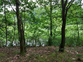 Ferienhaus Arrild  30